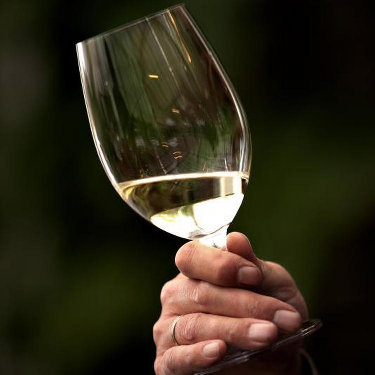 Ugens testvinder er Saint Clairs version af sauvignon blanc. Arkivfoto Jacob Ehrbahn/POLFOTO