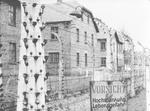 Auschwitz. 
