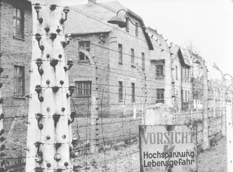 Auschwitz. 
