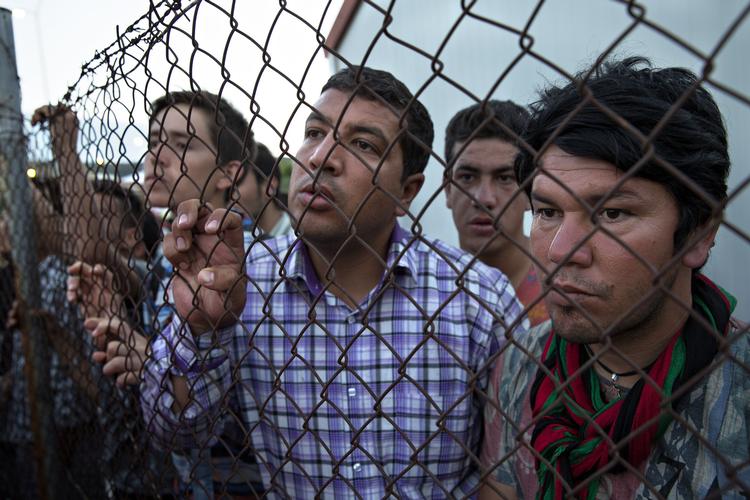 Bådflygtninge fra Syrien, Afghanistan, Pakistan, Iran og Irak ankommer fra Tyrkiet til ferieøen Lesbos, Grækenland.
   