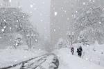 Snedækkede veje i byen Fukui, der er hovedstaden i Fukui-provinsen.  Byen er dækket af op til 136 centimeter sne. Det er det største snefald i byen i 37 år, rapporterer NHK.
   