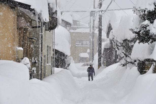 Det kræver vilje at kæmpe sig frem gennem de massive snedynger. Onsdag dag vælter det fortsat ned med sne over den japanske kyst. Flere end 400 skoler har aflyst undervisningen.
   