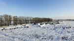 Russia Plane Crash