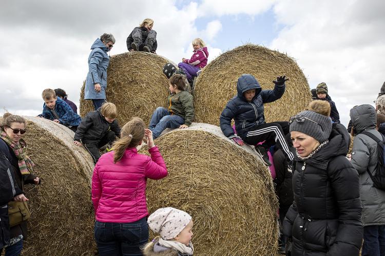 ARKIVFOTO: Mange danske familier deltager i Arlas årlige Økodag.  