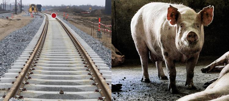 Arkivfoto Finn Frandsen/Daniel Hjorth