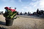 En blomst er stillet på hjørnet af H. C. Andersens Boulevard og Hammerichsgade i København, hvor en ung cyklist blev kørt ihjel af en højresvingende lastbil. Jens Dresling/POLFOTO