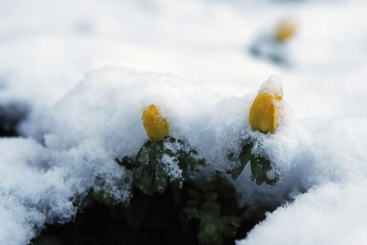 Jens Dresling/POLFOTO