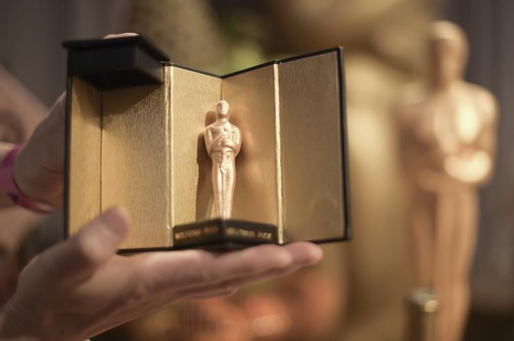 
 Kampen om en Oscar er hård. Richard Shotwell/AP