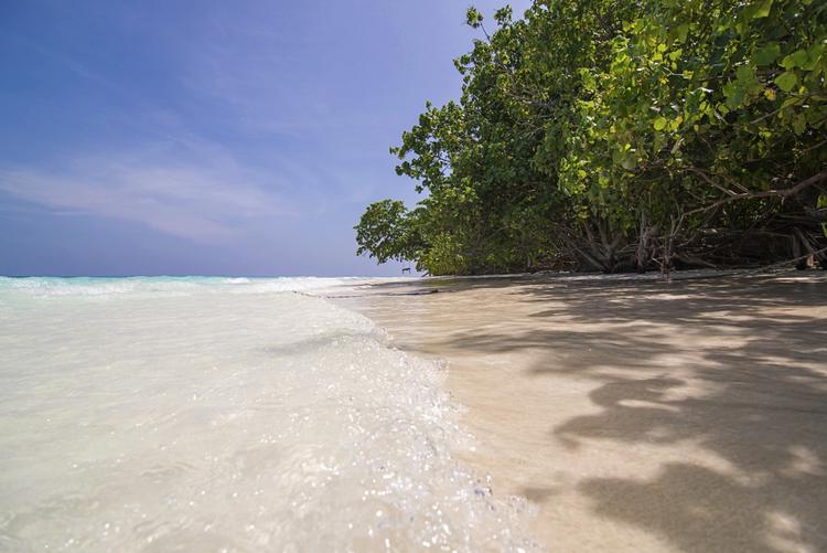 Den største frihed. Er det at checke ud af hverdagslivet og købe en envejsbillet til en bountystrand i Thailand? Eller viser det i virkeligheden, hvor ufrit mennesket fundamentalt er?
   AP