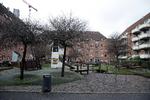 Mjølnerparken. En af Danmarks ghettoer, som regeringen har mange planer for. Men faktisk henviser ordet 'ghetto' til et gammelt jødekvarter i Venedig.
   Jens Dresling/POLFOTO
