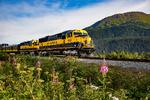 Toget fra Alaska Railways kommer tæt på naturen. Glenn Aronwitz