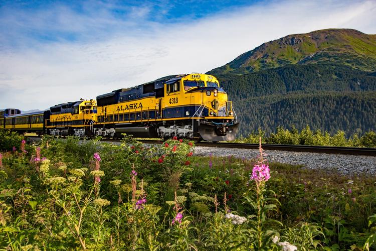 Toget fra Alaska Railways kommer tæt på naturen. Glenn Aronwitz
