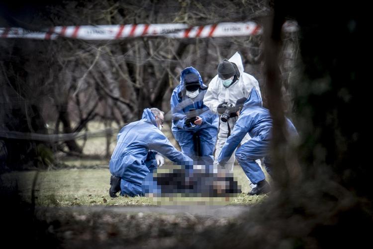 Politiets teknikere ved den døde mand i Valbyparken.  Mads Claus Rasmussen/Ritzau Scanpix