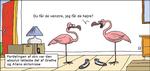 wm_2018_03_24