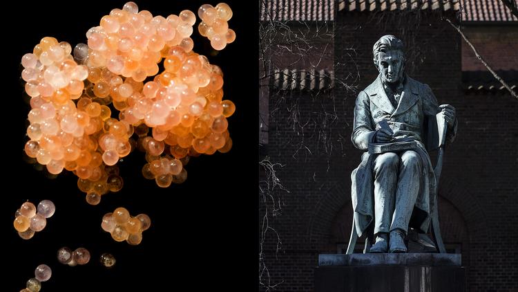 Arkivfoto Nikolaj Svennevig/Niels Hougaard