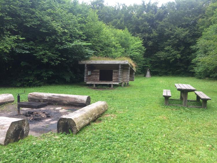 Landets store lejrpladser er populære som aldrig før. Her Hvidbjerg Klitplantage inden et rykind af besøgende ... Foto: udinaturen.dk