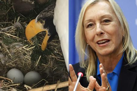 Peter Frank Wenzel/Paulo Filgueiras/AP