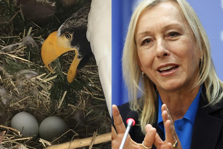 Peter Frank Wenzel/Paulo Filgueiras/AP