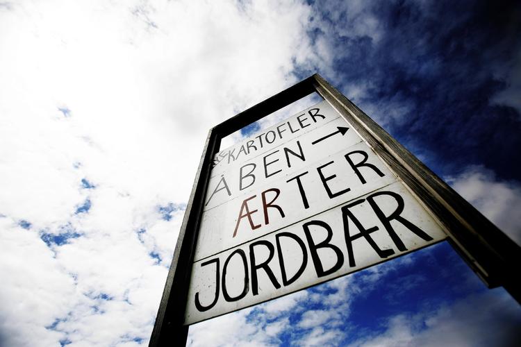 Skal det være nemmere at få lov til at sætte et skilt op og fx reklamere for gårdbutikker, eller skæmmer det landskabet? Nyt lovforslag om flere skilte møder kritik.  Carsten Ingemann/POLFOTO