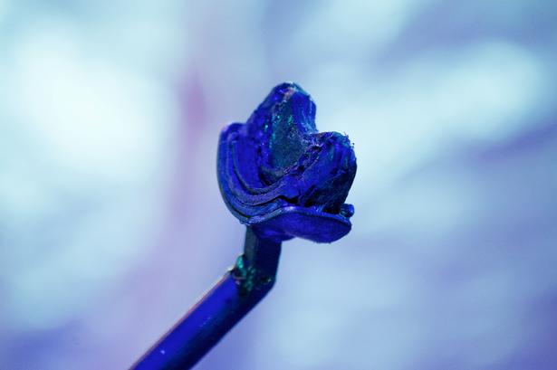 Velbekomme. Alexander Lichner balancerer i en trapez, med denne i munden. 