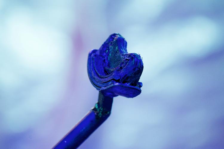 Velbekomme. Alexander Lichner balancerer i en trapez, med denne i munden. 