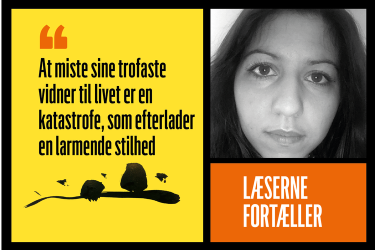 Grafik: Mads Pedersen/Claus Nørregaard