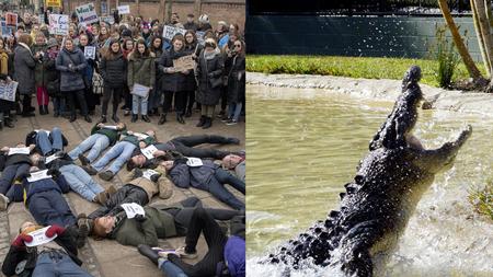 Peter Hove Olesen/AP