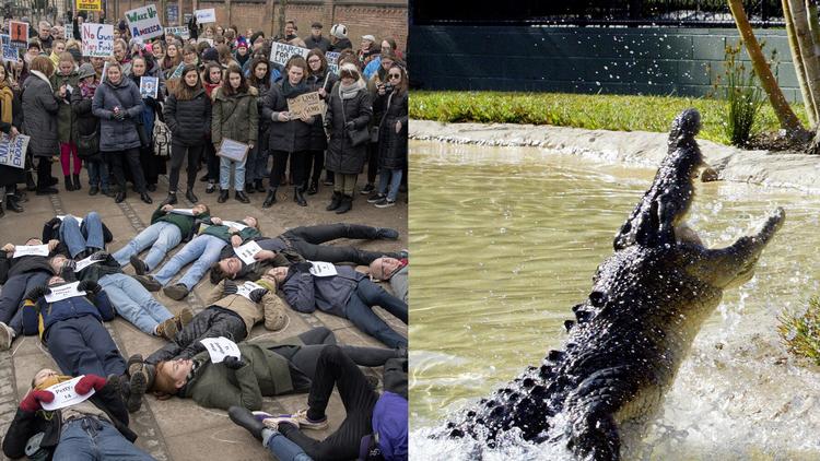 Peter Hove Olesen/AP