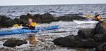 Arkivfoto Martin Lehmann