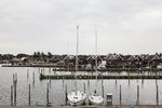 Danmarks Naturfredningsforening får medhold i hovedparten af de sager, der drejer sig om bygge- og beskyttelseslinjer som   strandbeskyttelseslinjen. 
   Gregers Tycho /POLFOTO
