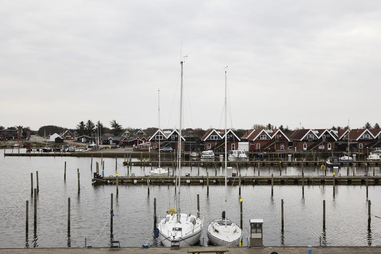 Danmarks Naturfredningsforening får medhold i hovedparten af de sager, der drejer sig om bygge- og beskyttelseslinjer som   strandbeskyttelseslinjen. 
   Gregers Tycho /POLFOTO