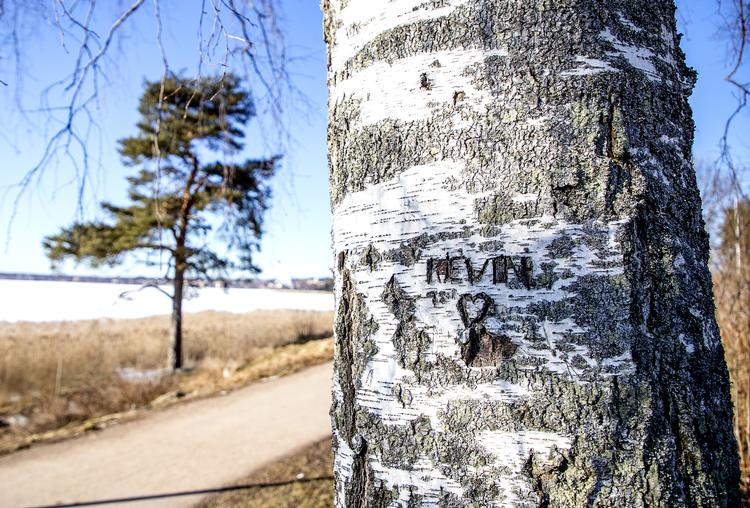 Fire-årige Kevin Hjalmarsson blev fundet død ved den lokale sø i sommeren 1998. To børn fik skylden, men 20 år senere er de frifundet. Sagen har rystet svenskerne.  9200 Adam Ihse/tt/Ritzau Scanpix