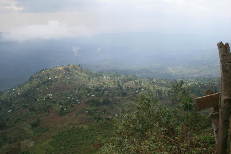 Bliktage glimter i solstrejf for foden af Mount Elgon.. Niels Boel