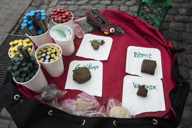 Forsøget på at oprulle ulovligt hashsalg får nu store konsekvenser for en kvindelig anklager.
   Tidsvilde Stine/POLFOTO