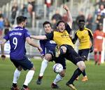 Janus Drachmann og Erik Sviatchenko fra FC Midtjylland forsøger at få styr på Hobros stærke norske angriber Pål Alexander Kirkevold under torsdag aftens jyske pokaldyst.

   Norde Ernst Van/Ritzau Scanpix