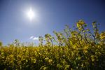 
    Onsdag, torsdag og fredag vil der være rig lejlighed for at nyde solens varme stråler, når temperaturen kravler op på den anden side af 20 grader, oplyser den vagthavende meteorolog ved DMI. 
   Jens Dresling/arkiv/POLFOTO