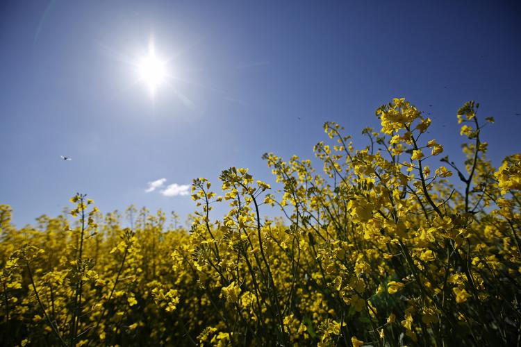 
    Onsdag, torsdag og fredag vil der være rig lejlighed for at nyde solens varme stråler, når temperaturen kravler op på den anden side af 20 grader, oplyser den vagthavende meteorolog ved DMI. 
   Jens Dresling/arkiv/POLFOTO