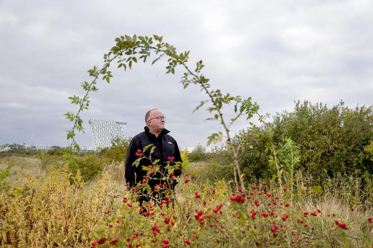 Jens Kramer Mikkelsen i Amager Fælled i 2016. Ifølge kilder var Kramers håndtering af udbygningen på Fælleden medvirkende til hans afgang. Finn Frandsen/POLFOTO