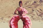 Janelle Monáe har skabt opmærksomhed med videoen til 'Pynk'.  Skærmdump