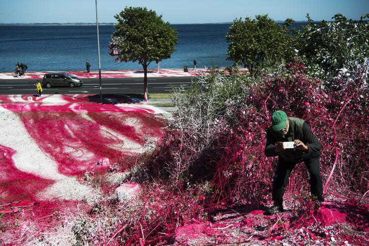Aros-udstillingen The Garden blev kulturhovedstadens mest besøgte begivenhed med over en halv million besøgende på museet og ud langs Aarhus- strande. Kunstneren Katharine Grosses røde maling i Mindeparken vakte vild debat. Tycho Gregers/POLFOTO