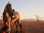 Ugens vinderbillede er fra Namibia, hvor læser Annemarie Franck efter endnu en dag som frivillig på et wildlife rescue-center tog med Karl og den hvide hest ud i ørkenen for at se solnedgangen. Annemarie Franck