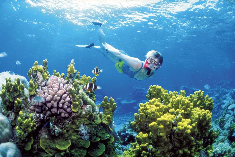 Australiens Great Barrier Reef er et farverigt skue, men er truet af ødelæggelse. Derfor investerer Australien et milliardbeløb i bevaringen af revet. AP Photo/Queensland Tourism/AP