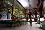 Svendborg Zoologiske Museum, der i dag bare hedder Naturama, lægger gulv og omgivelser til en lille del af mountainbike-løbet Bissen MTB, der finder sted hvert år på St. Bededag. Lars Axel Andersen