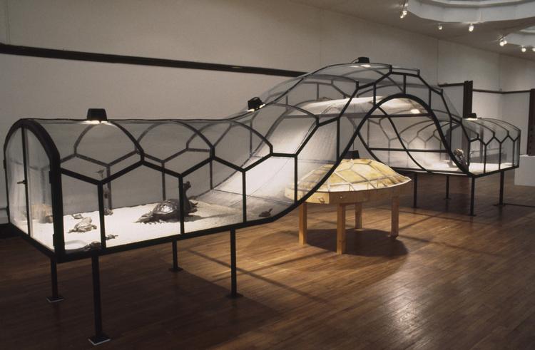 I værket 'Theater of the World' af den kinesiske kunstner Huang Yong Ping kæmper levende dyr til døden (foto: Jean-Gilles Berizzi (c) RMN-Grand Palais/Art Resource) 