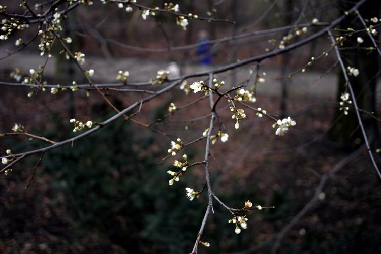 Lars Hansen/POLNATURE