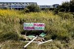 Kultur- og frtidsborgmester Niko Grünfeldprøver at tromme de partier sammen, som sidste år var med til at forhindre boligbyggeri på den gamle strandeng på Amager Fælled.  Finn Frandsen/POLFOTO