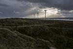 Det helt afgørende for den grønne omstilling er, at forbrugerne har en interesse i at vælge energirigtige løsninger, slår professor i energiplanlægning ved Aalborg Universitet Henrik Lund fast. Tobias Nicolai/POLFOTO