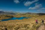 En høg hænger i luften over den kønne Angle Tarn i det engelske Lake District. Phil Rutherford