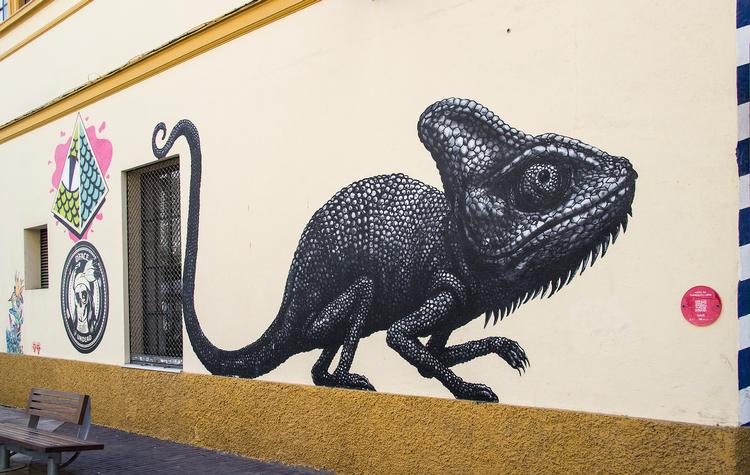 Husmurene langs gaden Casas de Campo myldrer med interessant kunst, blandt andet kamæleonen her, der har fået nærmest ikonisk status. Hanne Olsen