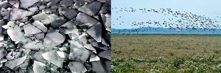 Foto Carsten Andreasen, Per Folkver